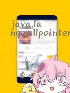 java.lang.nullpointerexception怎么解决