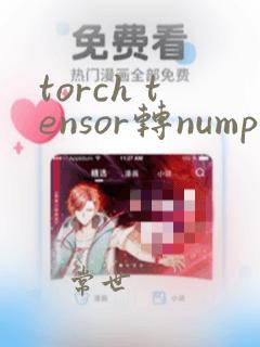 torch tensor转numpy