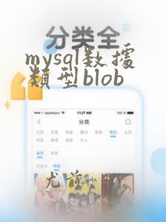 mysql数据类型blob