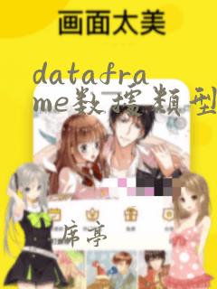 dataframe数据类型