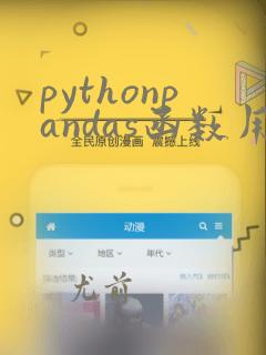 pythonpandas函数用法大全