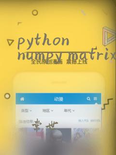 python numpy matrix