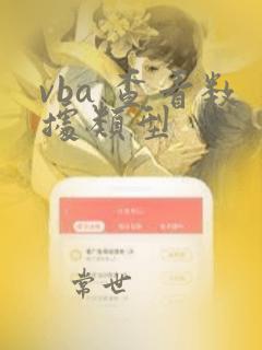 vba 查看数据类型