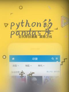 python的pandas库