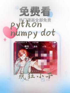 python numpy dot