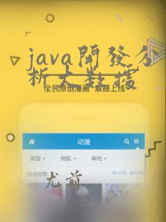 java开发分析大数据