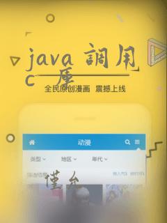 java 调用c 库