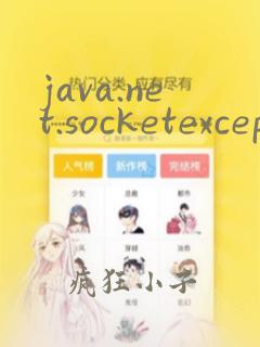 java.net.socketexception:connection