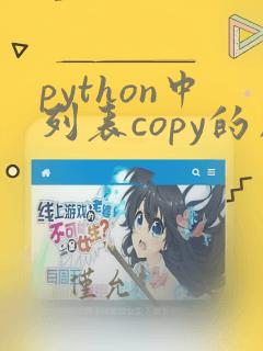 python中列表copy的用法