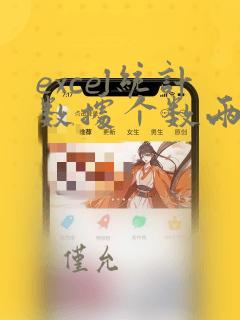 excel统计数据个数两个条件