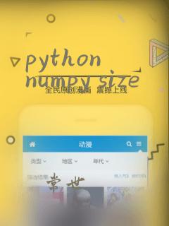 python numpy size