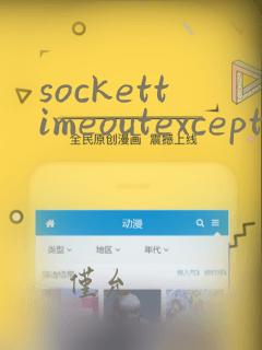 sockettimeoutexception:timeout