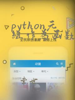 python元组作为函数参数