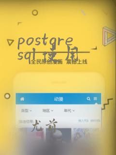 postgresql 使用