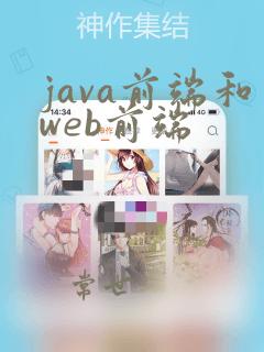 java前端和web前端