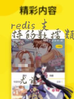 redis 支持的数据类型