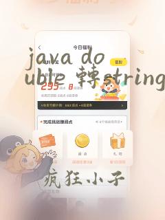 java double 转string