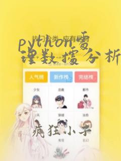 python处理数据分析