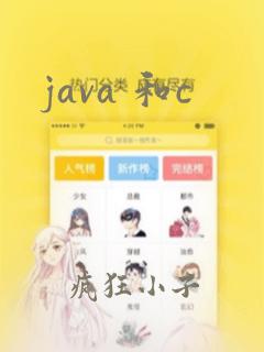 java 和c