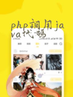 php调用java代码