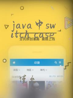 java中switch case