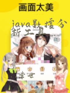 java数据分析工具