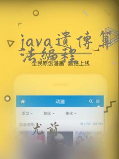 java遗传算法编程