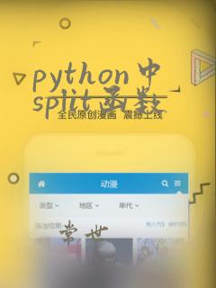python中split函数