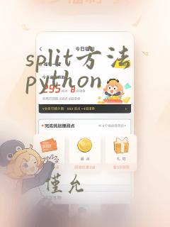 split方法python