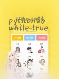 python的while true