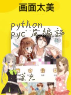 python pyc 反编译