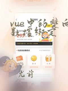 vue中的双向数据绑定