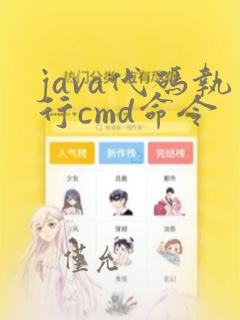java代码执行cmd命令