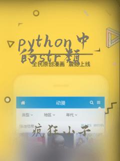 python中的str类