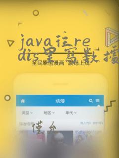 java往redis里写数据