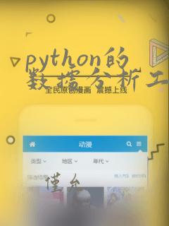 python的数据分析工具