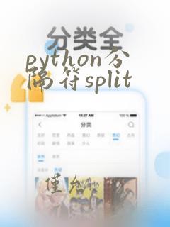 python分隔符split