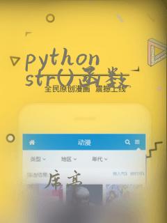 python str()函数