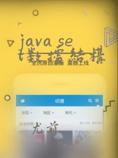java set数据结构