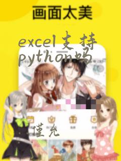 excel支持python吗