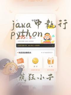 java中执行python