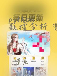 python 数据分析 实例