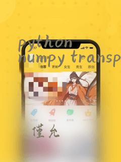 python numpy transpose