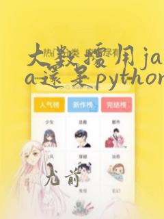 大数据用java还是python