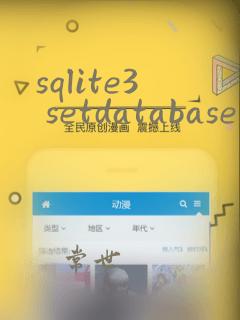 sqlite3 setdatabasesync