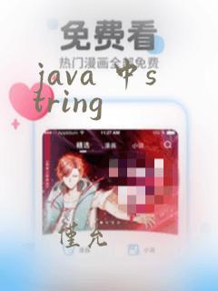 java 中string