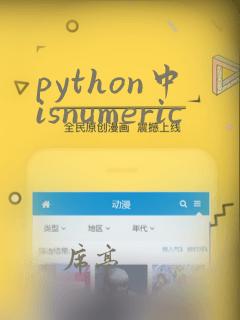 python中isnumeric
