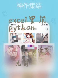 excel里用python