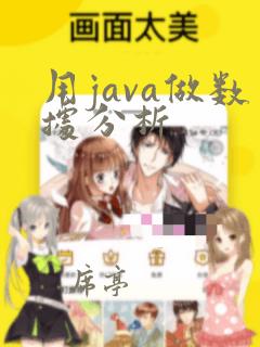用java做数据分析