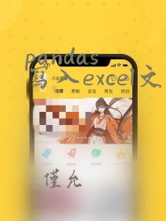 pandas 写入excel文件
